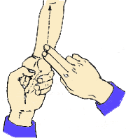 小儿推拿手法大全(动画演示)