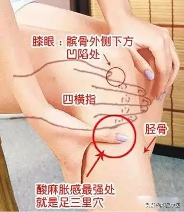 穴位就是中药,经络就是药房
