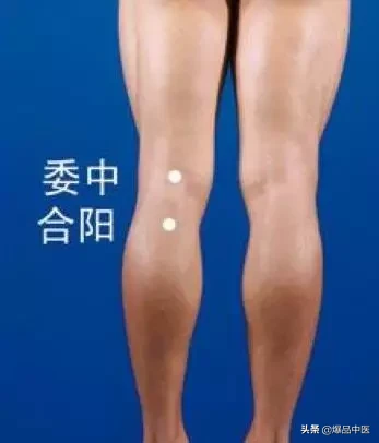 穴位就是中药,经络就是药房