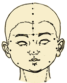 小儿推拿手法大全(动画演示)