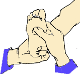 小儿推拿手法大全(动画演示)