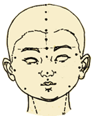 小儿推拿手法大全(动画演示)