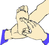 小儿推拿手法大全(动画演示)