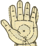 小儿推拿手法大全(动画演示)