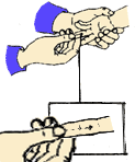小儿推拿手法大全(动画演示)
