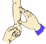 小儿推拿手法大全(动画演示)