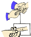 小儿推拿手法大全(动画演示)