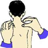小儿推拿手法大全(动画演示)