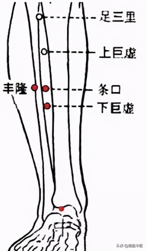 牢记全身疾病特效穴,专穴专用