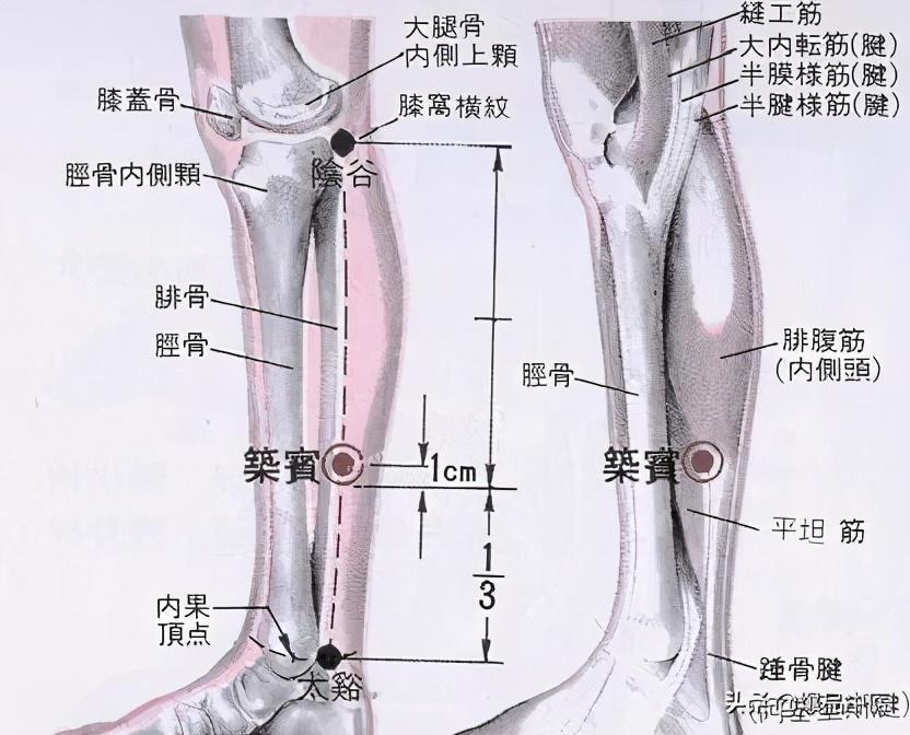 牢记全身疾病特效穴,专穴专用