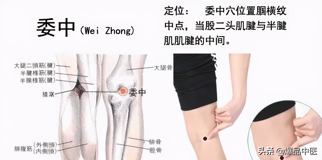 牢记全身疾病特效穴,专穴专用