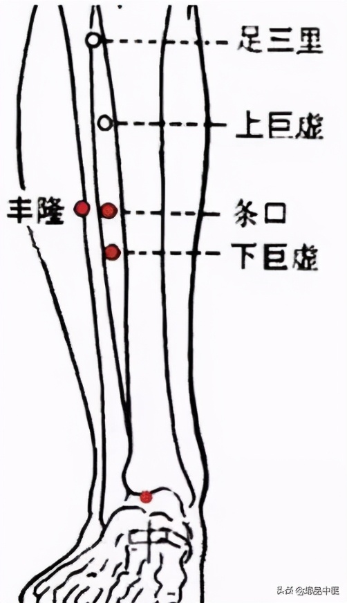 牢记全身疾病特效穴,专穴专用