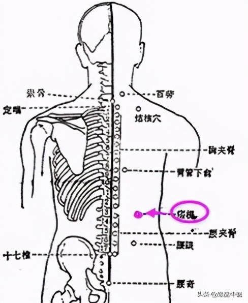 牢记全身疾病特效穴,专穴专用