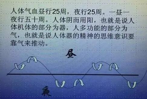 人体气血昼夜区分图.jpg