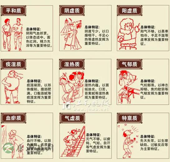 九种体质详解.jpg