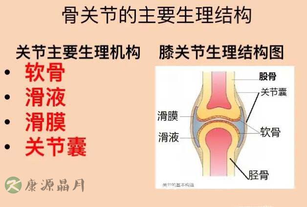 骨关节疾病.jpg