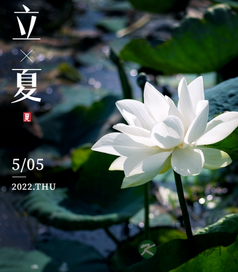 24節氣 立夏.png