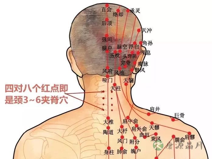 颈夹脊.jpg
