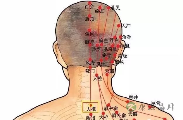大椎.jpg