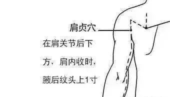 肩贞.jpg