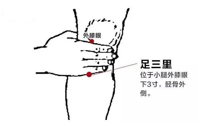 足三里.jpg
