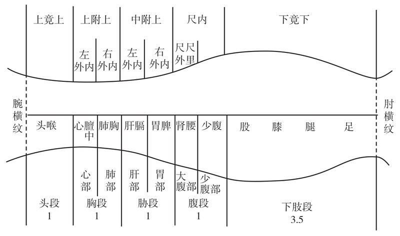 图4-2 尺肤诊法示意图(据颜之亨).png