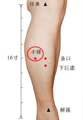 丰隆穴.jpg