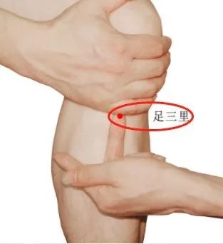 足三里.jpg