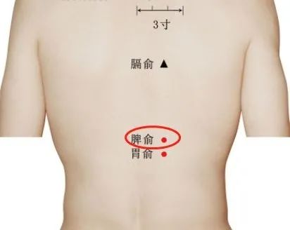 脾俞穴.jpg