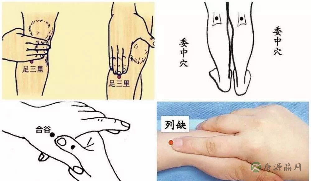 针灸大成.jpg