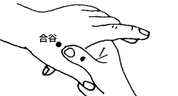 虎口穴.jpg