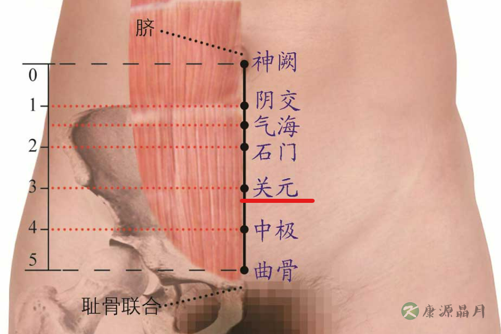 关元.png