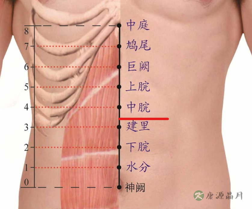 中脘.png