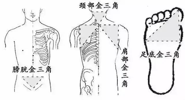 黄金三角区.jpg