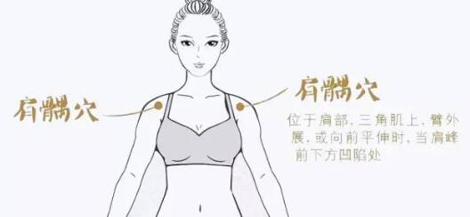 肩部金三角区.jpg