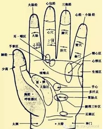 补脾经.png