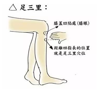 足三里.png