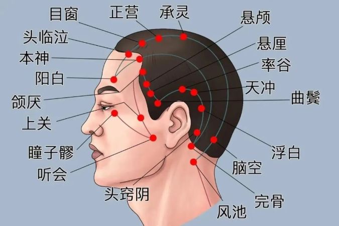 66a91ea4-e146-4354-87c2-b40a6d664e41.png