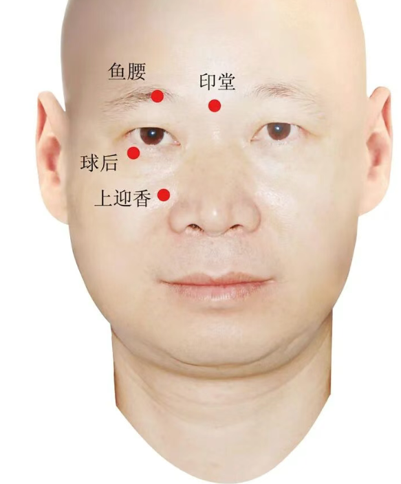 773a0dee-d26c-4a1e-8f4b-d1d50db045fb.png