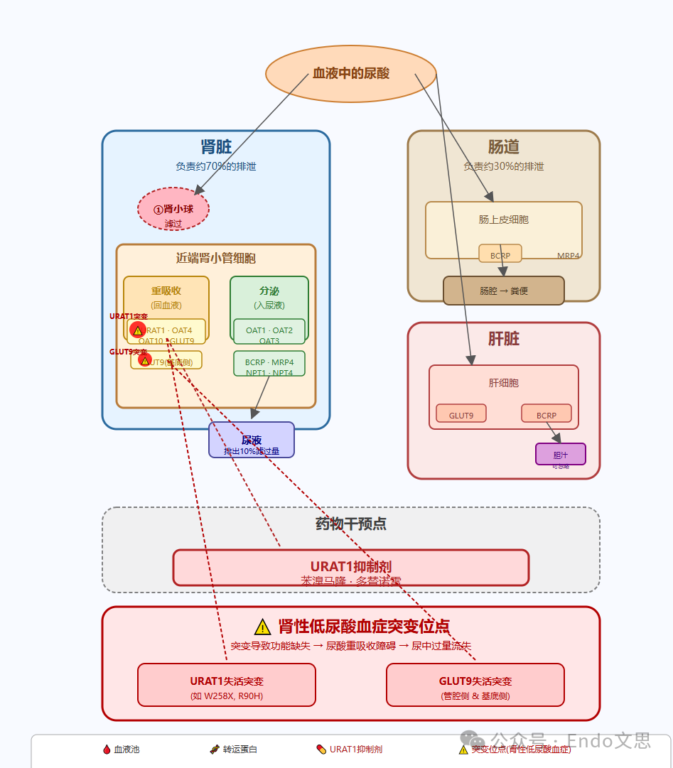 图 6.总结图