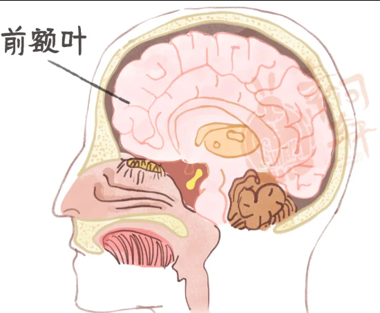 图片.png