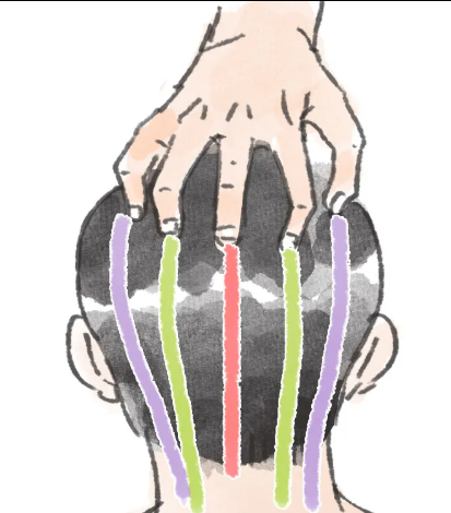 图片.png